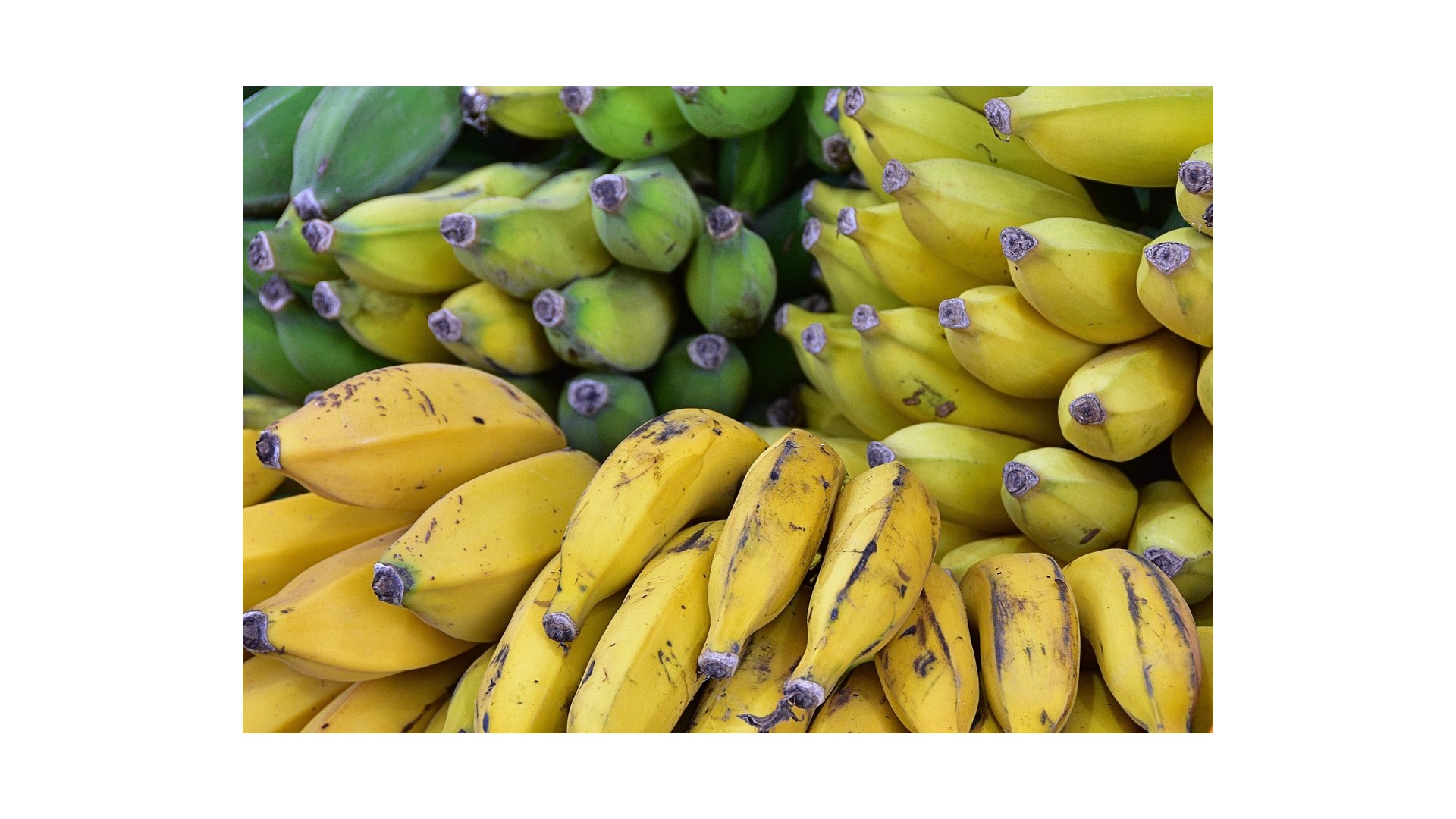 banane-mature-ricette-veloci