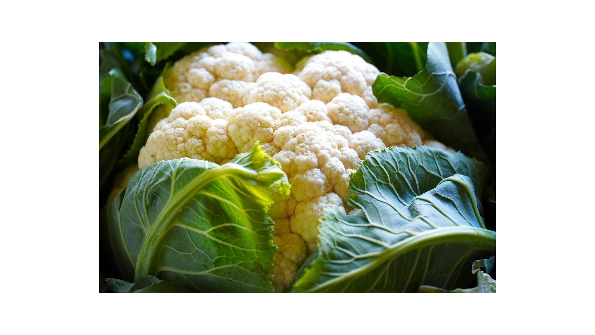 Come-cucinare-il-cavolfiore