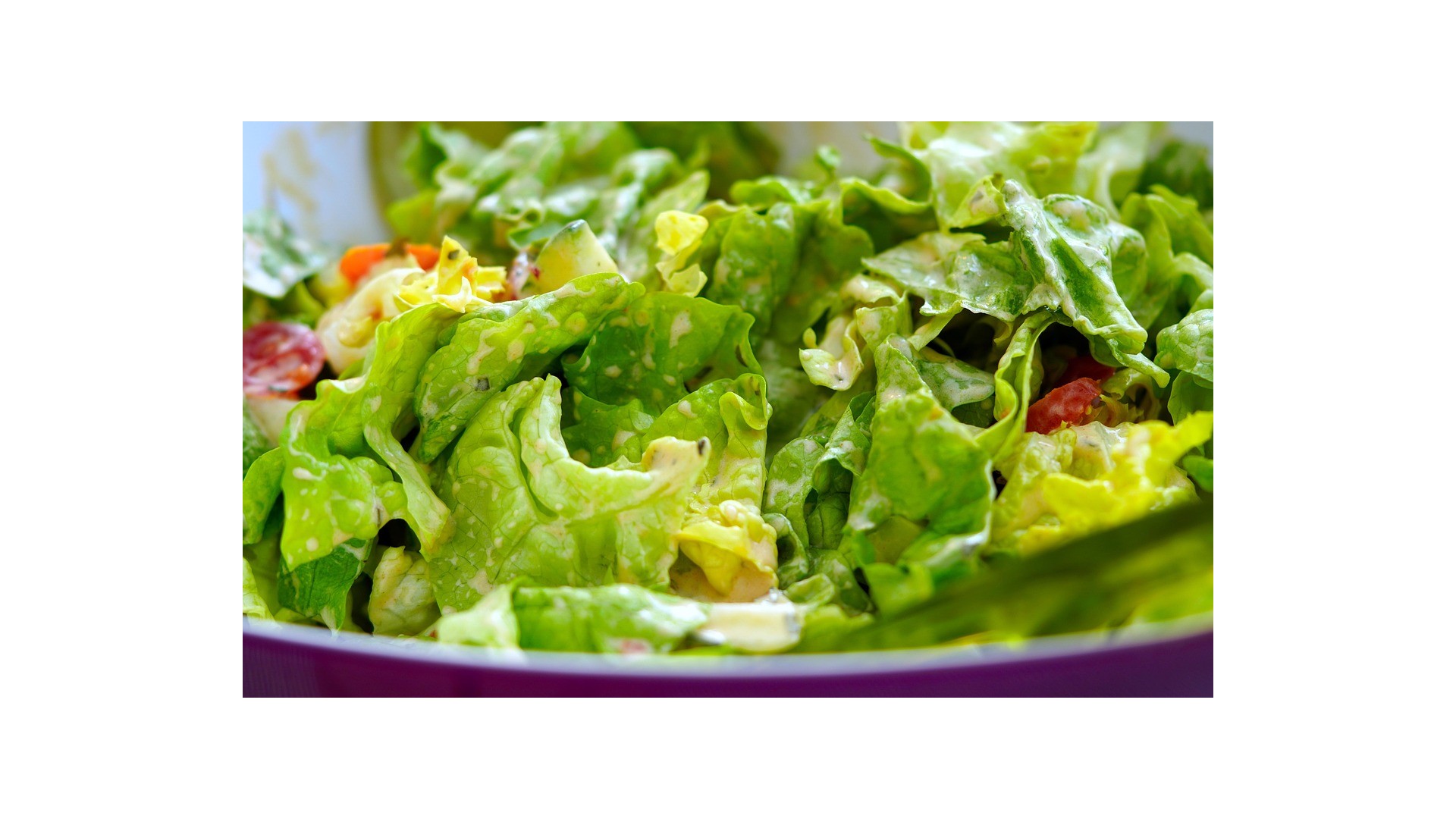 come-comporre-insalata-completa-senza-carne