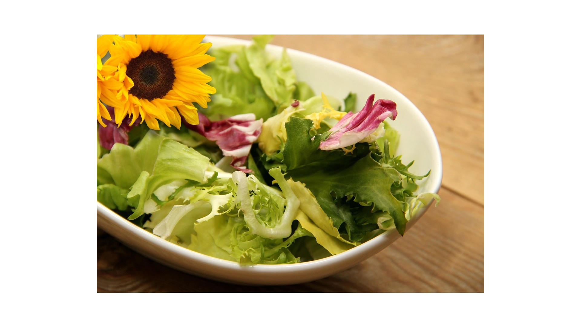 differenza-lattuga-insalata
