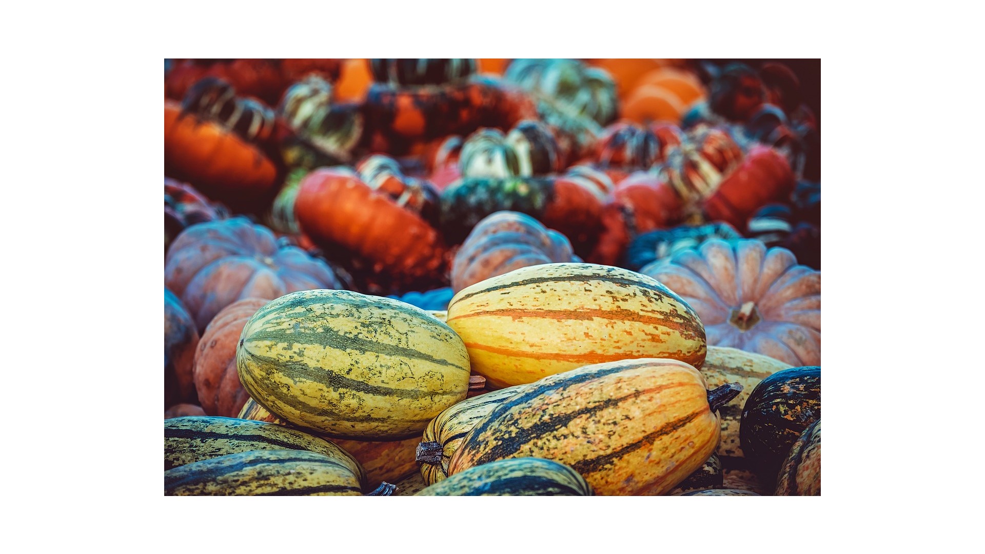 frutta-verdura-idratante