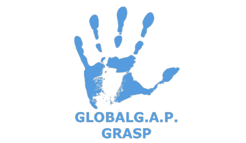 certification logo