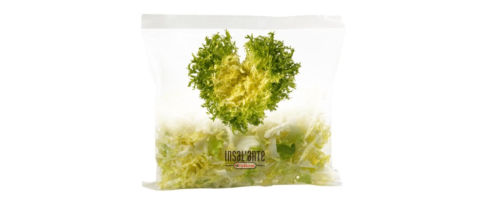 insalata-scarola-riccia-confezionata