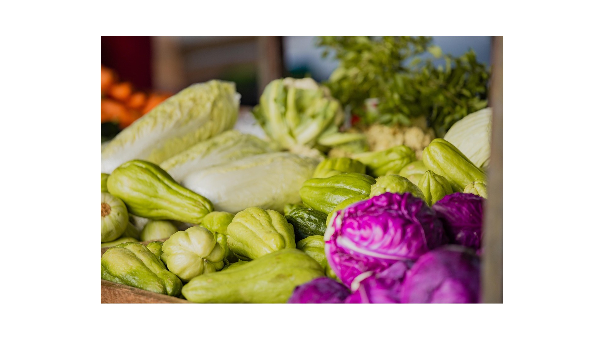 insalate-ricche-fibre-salute-intestinale