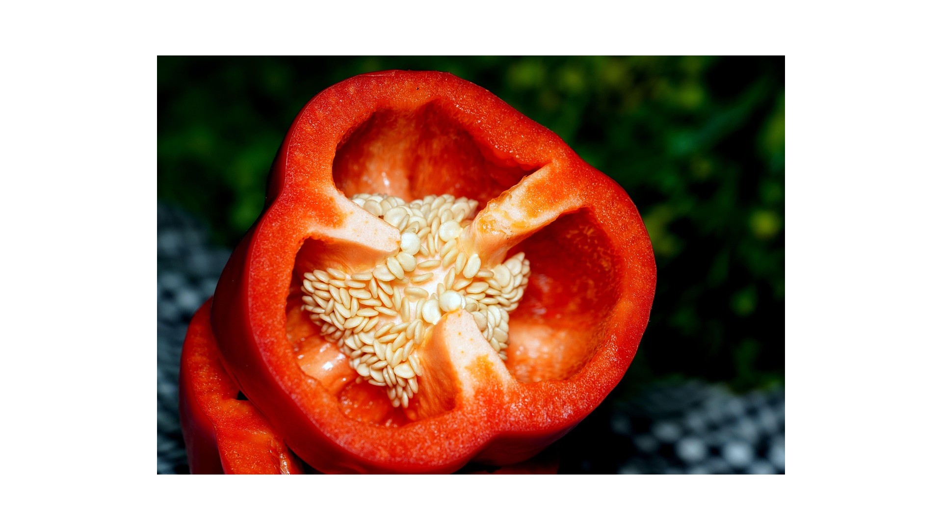 Perche-togliere-semi-ai-pomodori