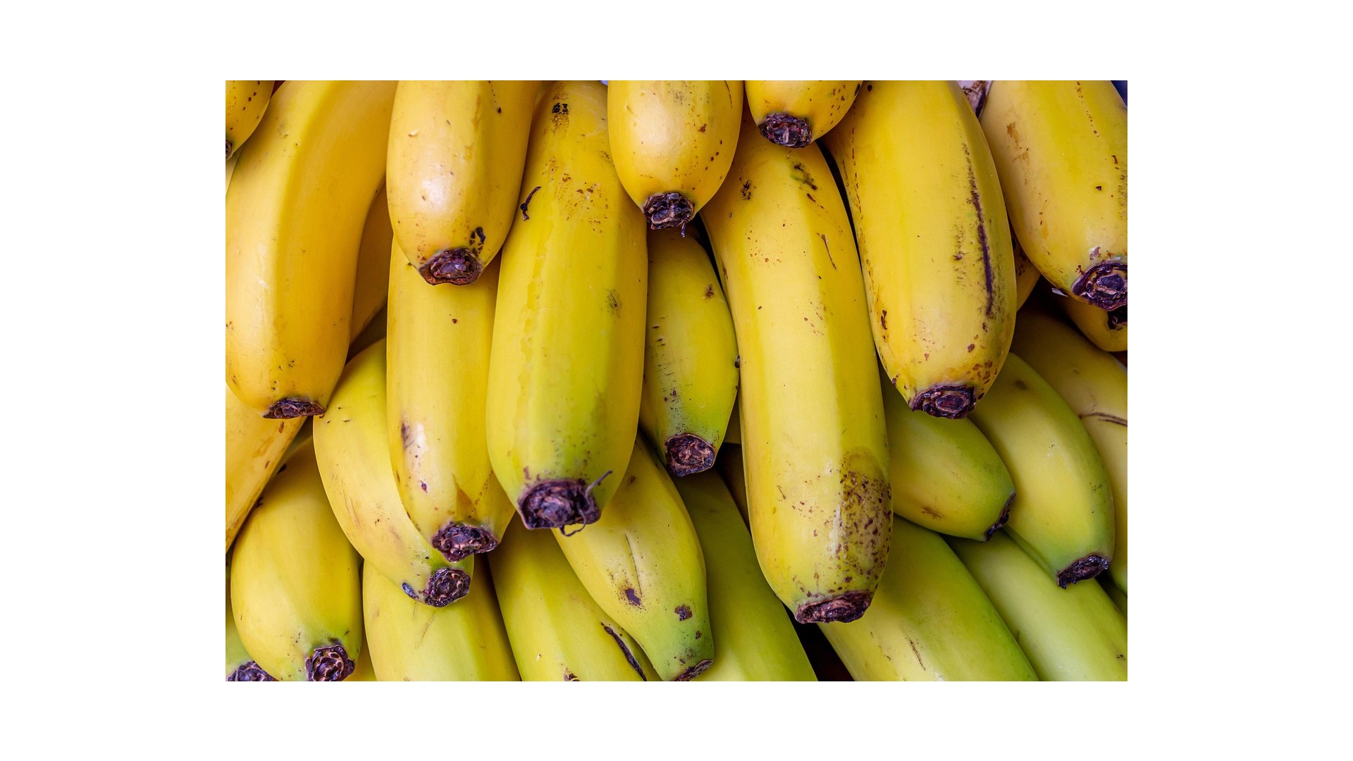 perche-banane-disponibili-tutto-anno