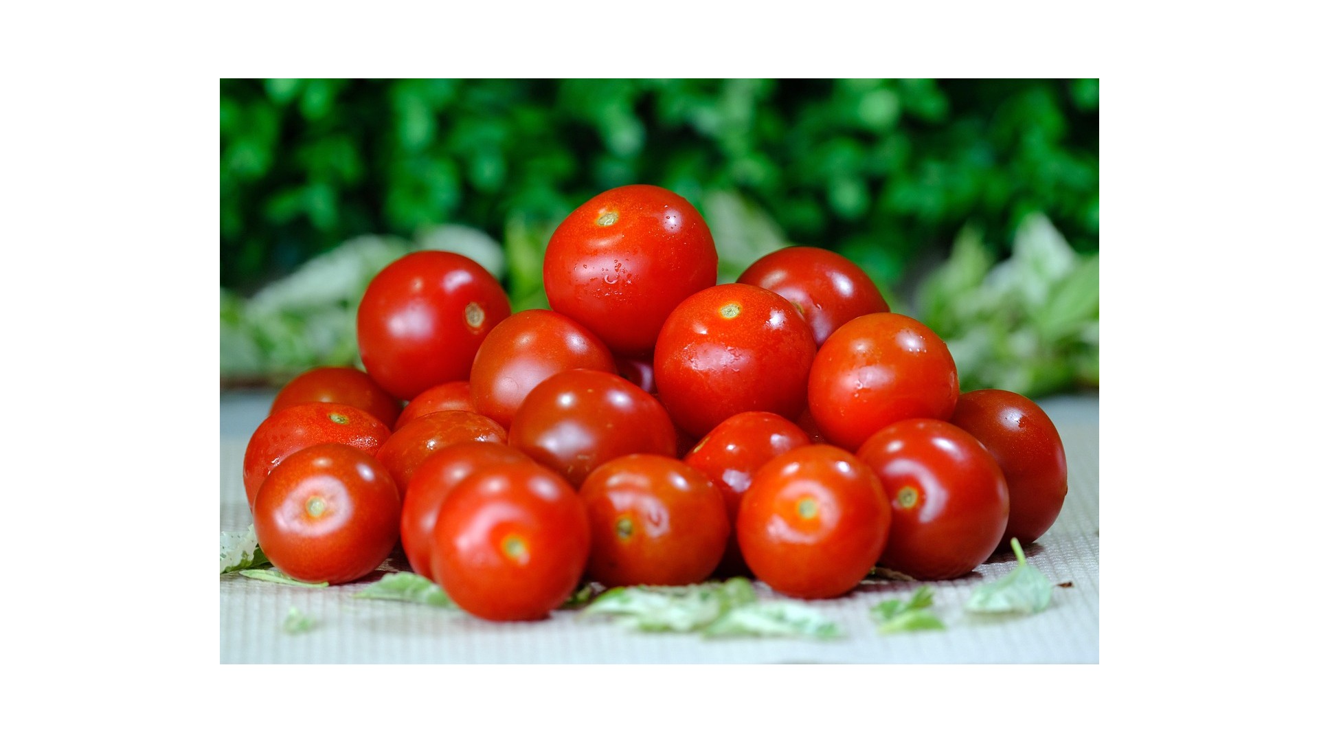 Pomodori-in-gravidanza