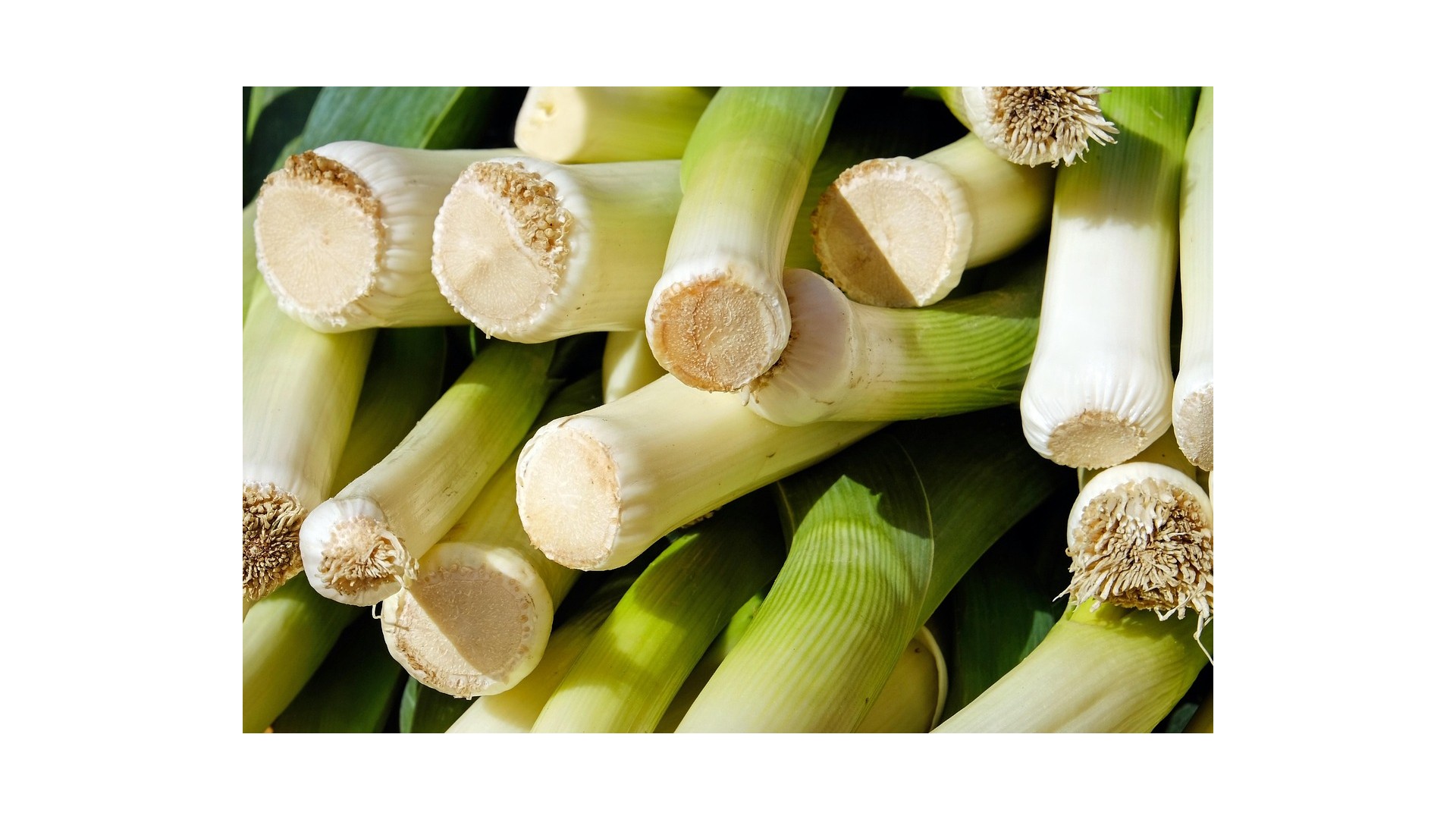 porro-benefici-proprieta