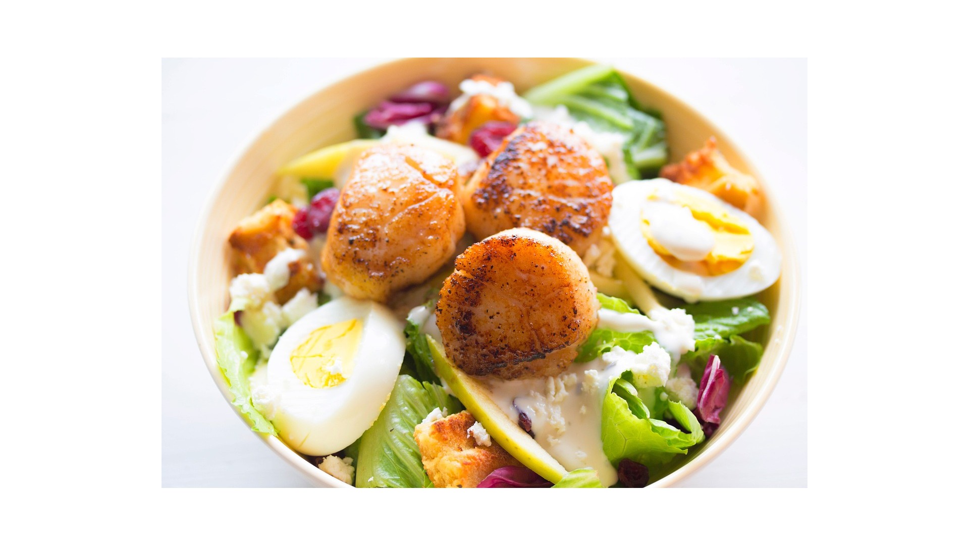Quante-calorie-contiene-insalata-di-mare