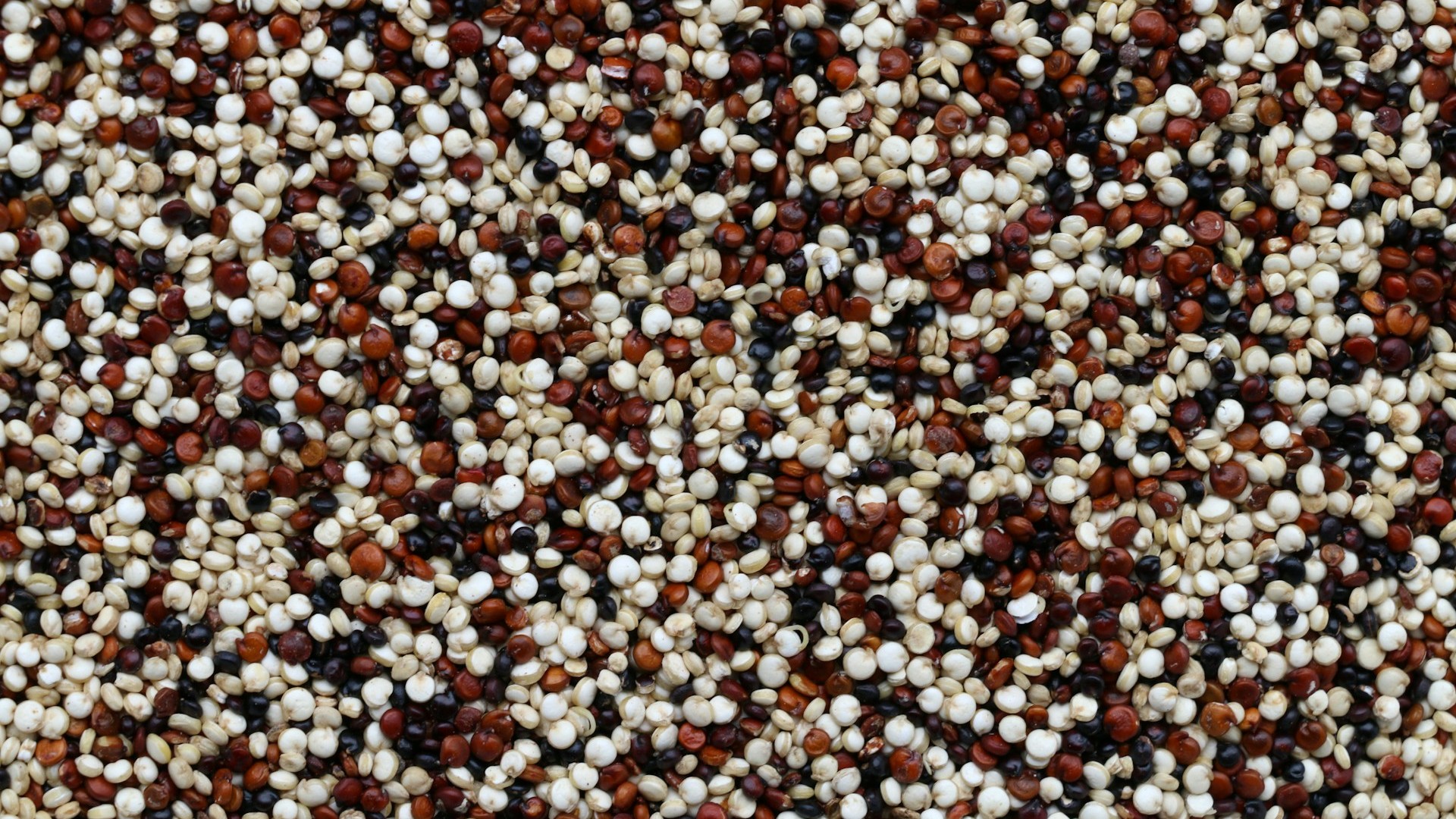 quinoa-proprieta-benefici