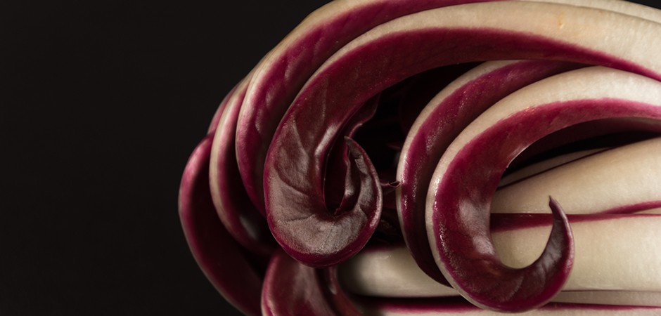 radicchio-rosso-di-treviso