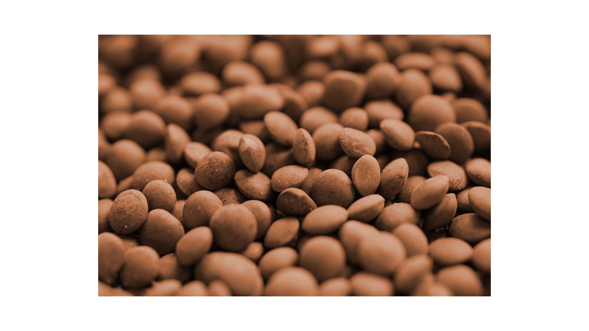 Ricette-con-lenticchie-quali-sono-le-piu-gustose