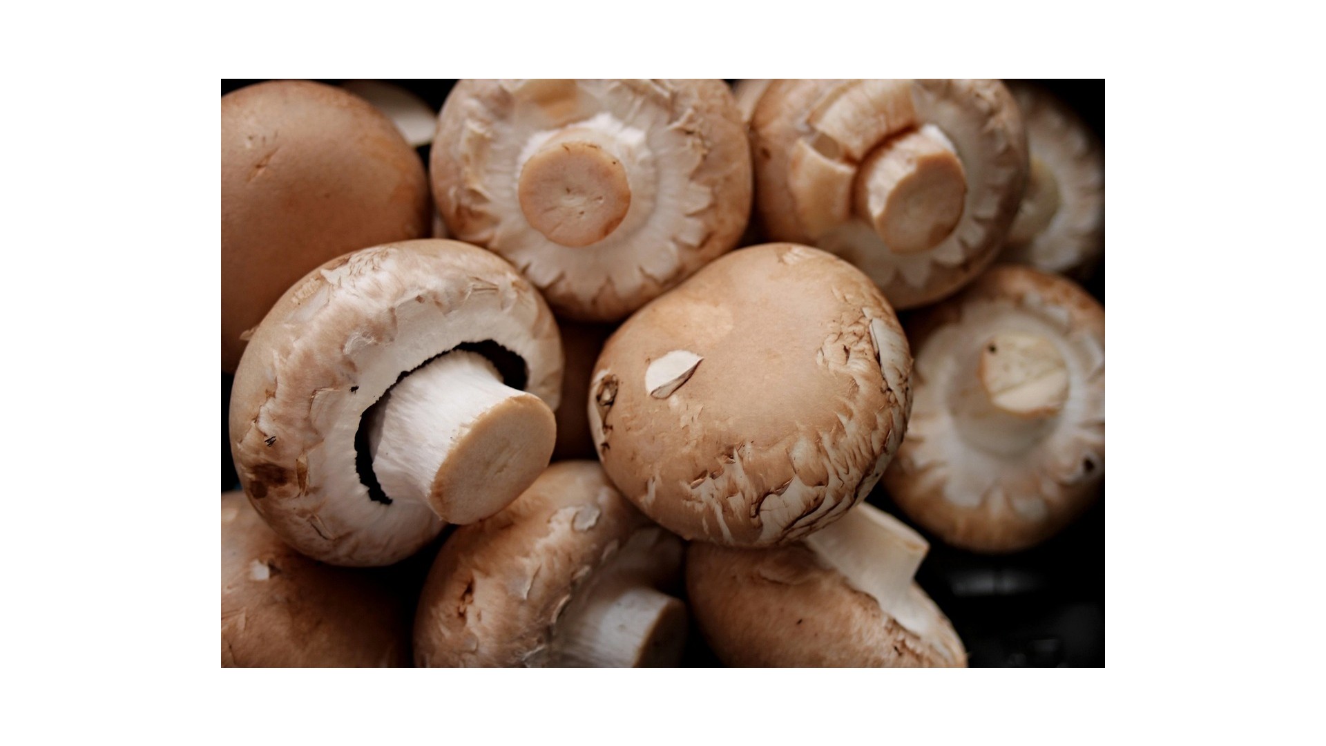 ricetta-funghi-champignon