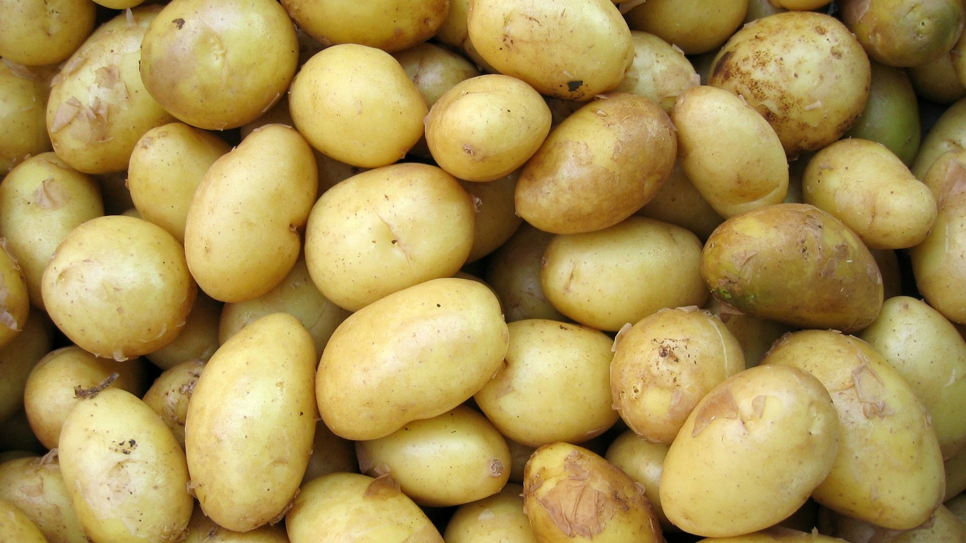 ricetta-polpo-patate