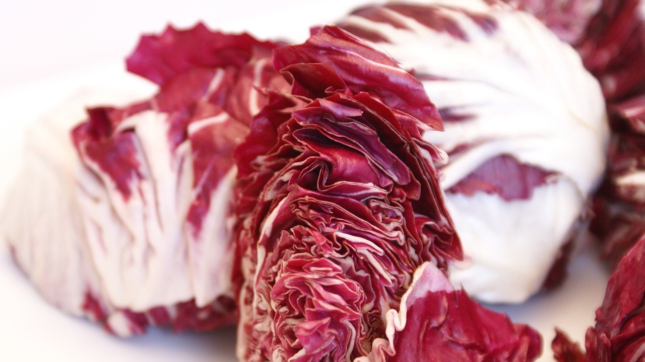 ricetta-risotto-radicchio-rosso