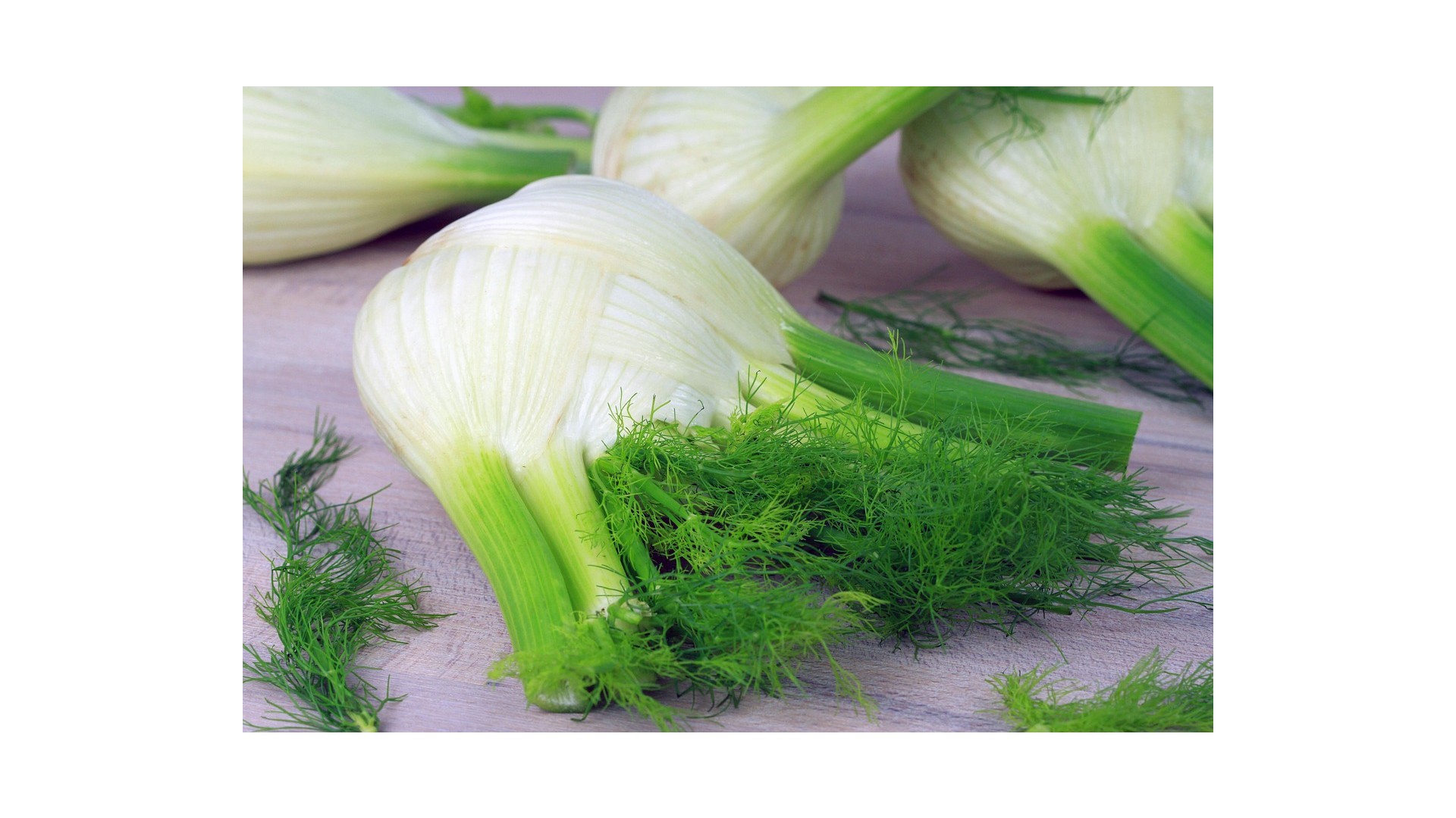 ricette-con-finocchi