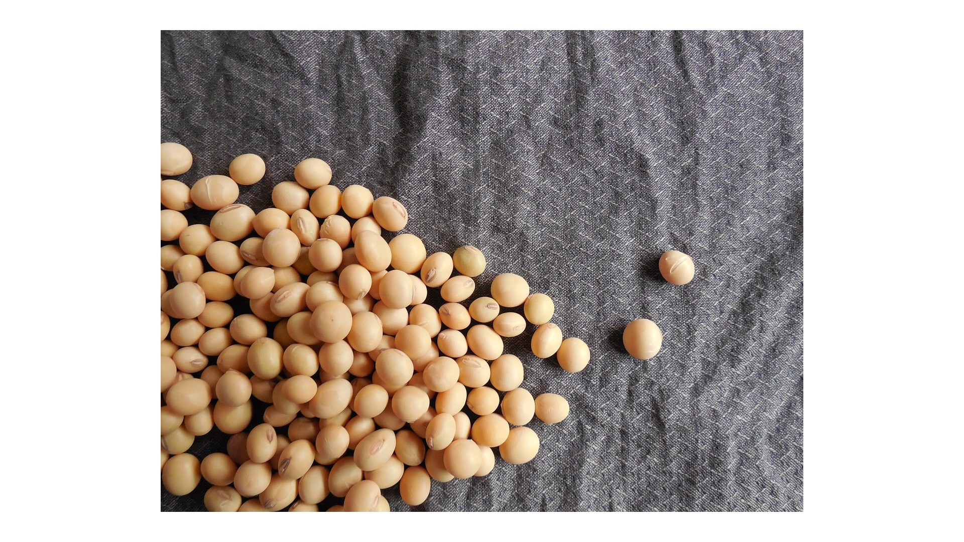 soia-proprieta-benefici-valori-nutrizionali
