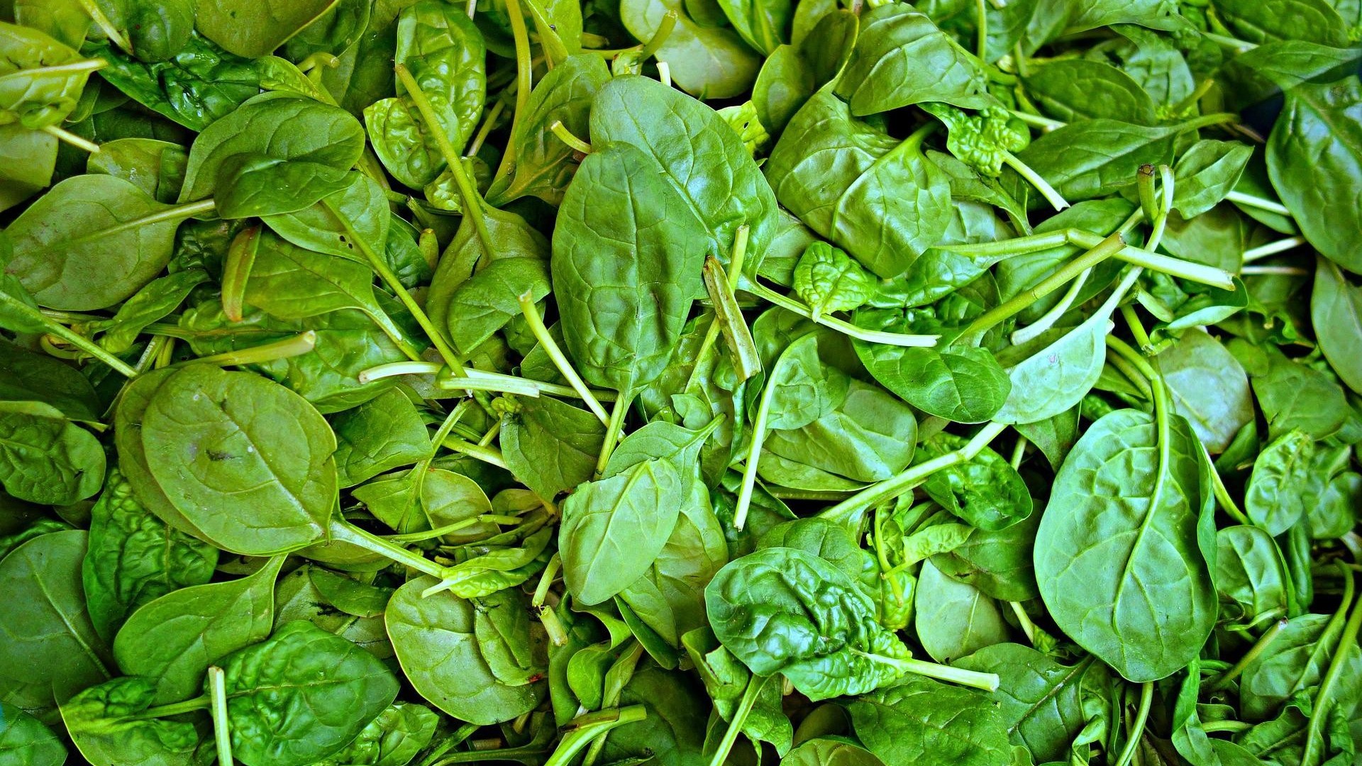 spinaci-benefici-proprieta