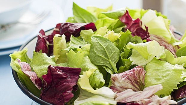 tipi-di-insalata