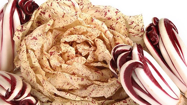 tipi-di-radicchio-radicchio-rosso-di-treviso