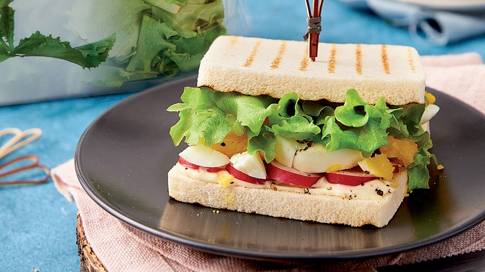 Sandwich with eggs, radishes, mayonnaise and green baby salad