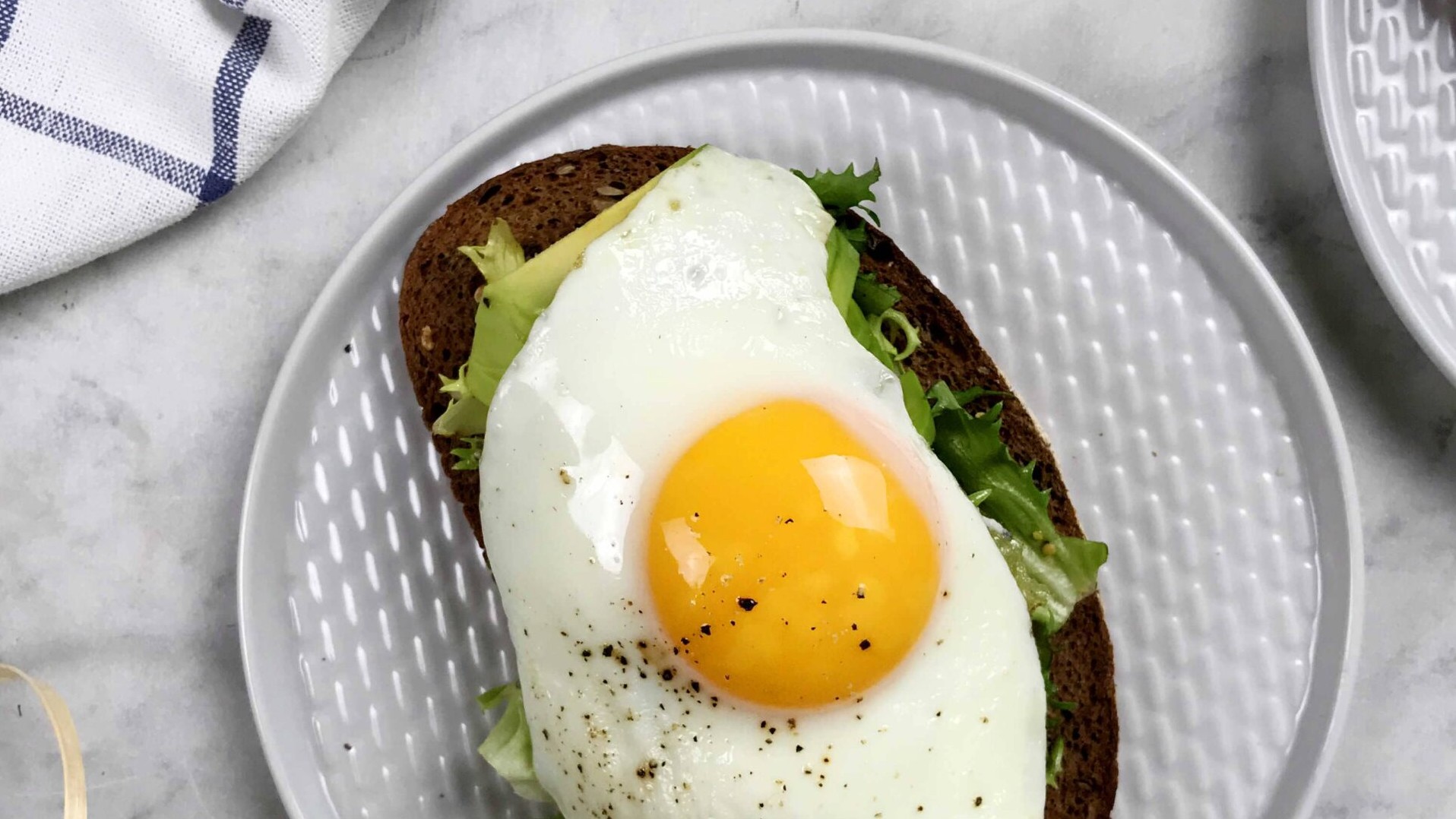 TOASTED BREAD WITH CURLY LETTUCE, AVOCADO AND EGG