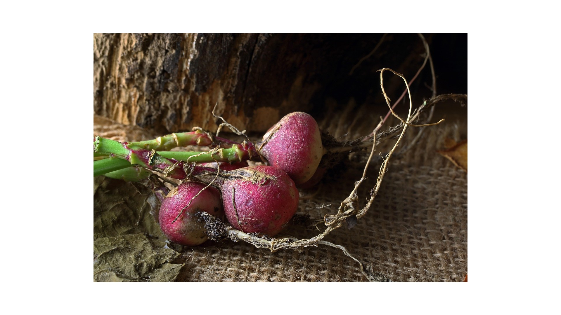 verdure-amidacee-cosa-sono-significato