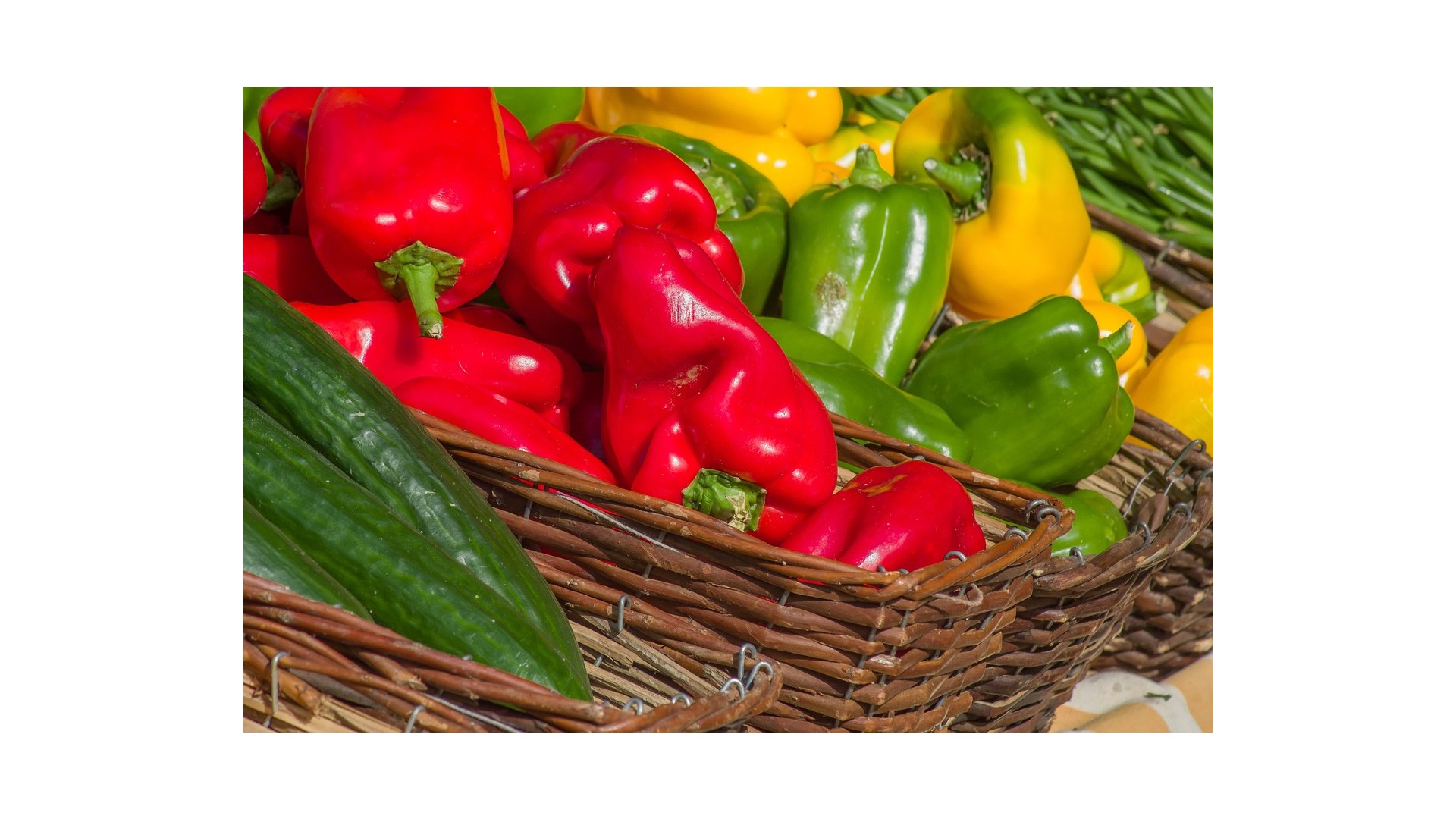 verdure-contengono-proteine