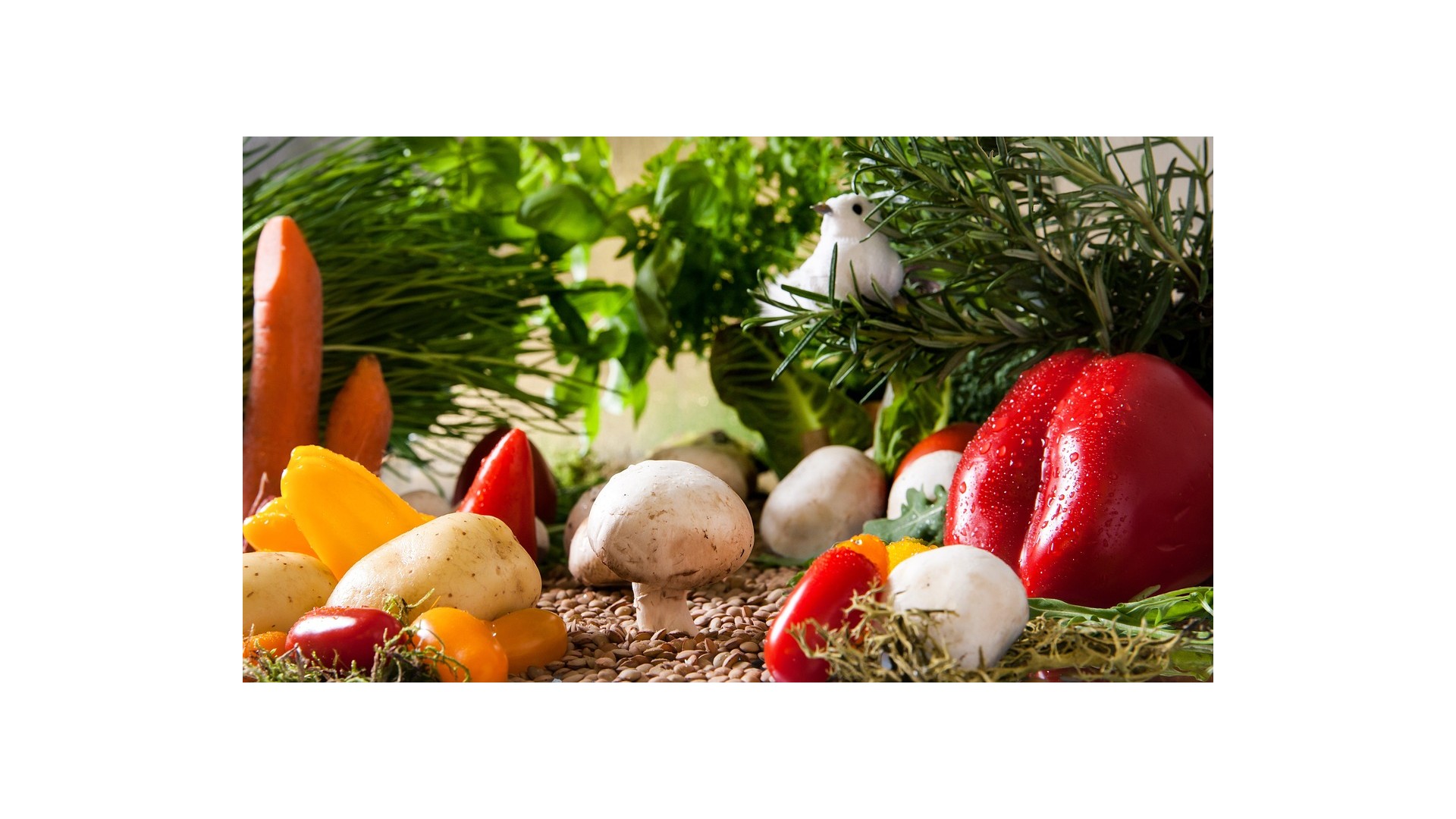 verdure-esotiche-in-europa