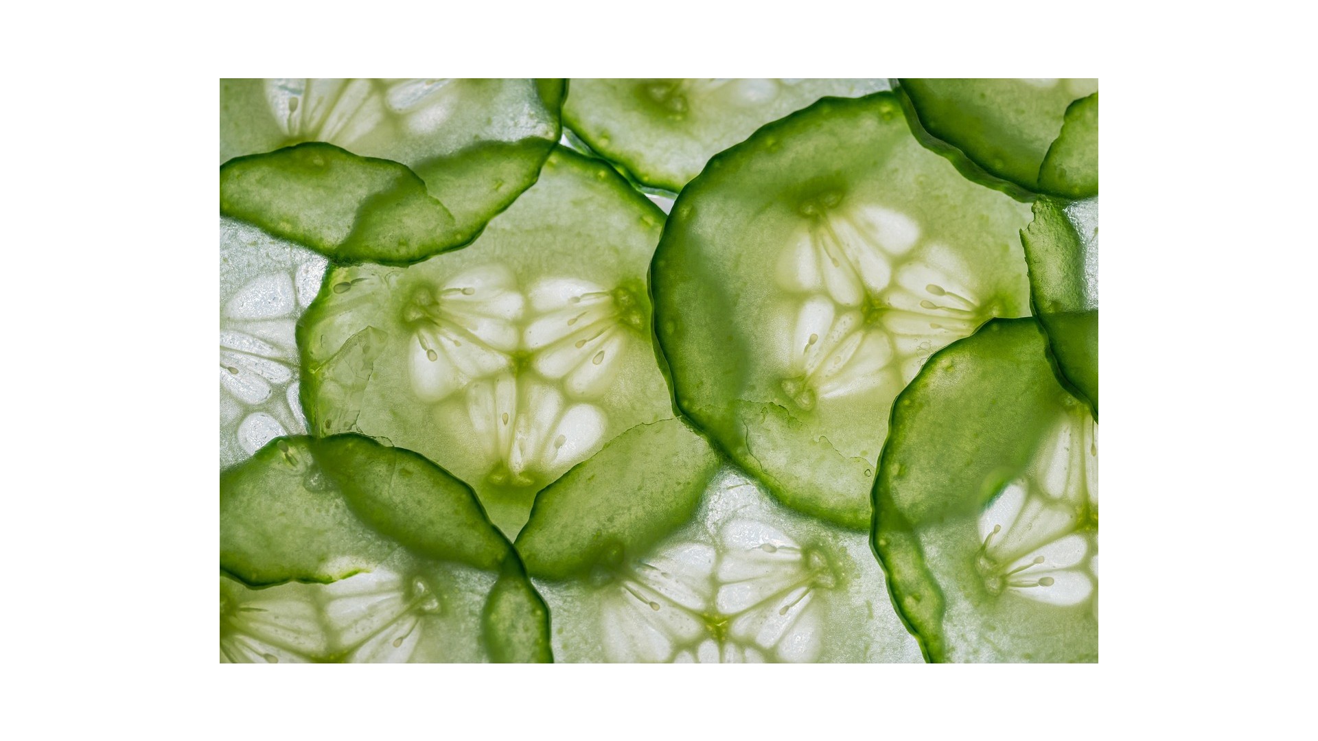 verdure-piu-idratanti