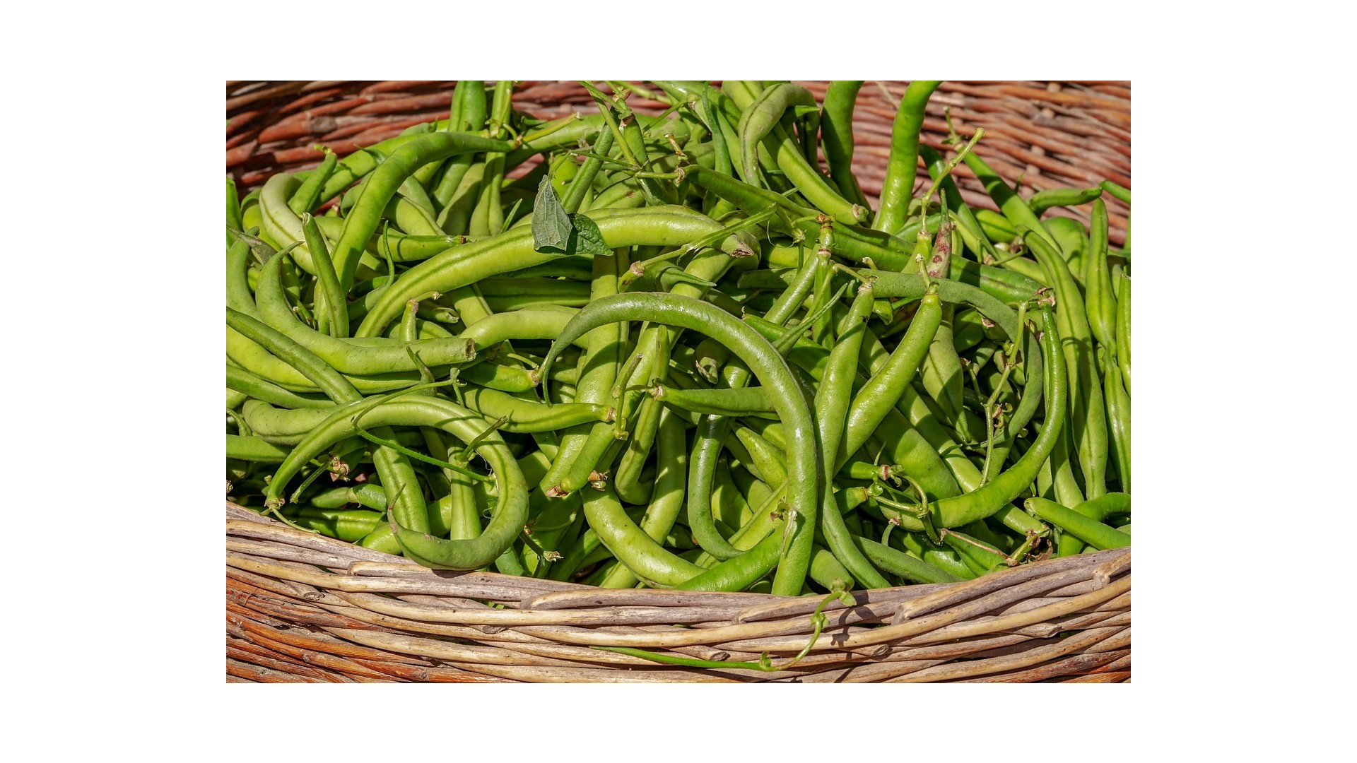 verdure-piu-ricche-vitamina-b3